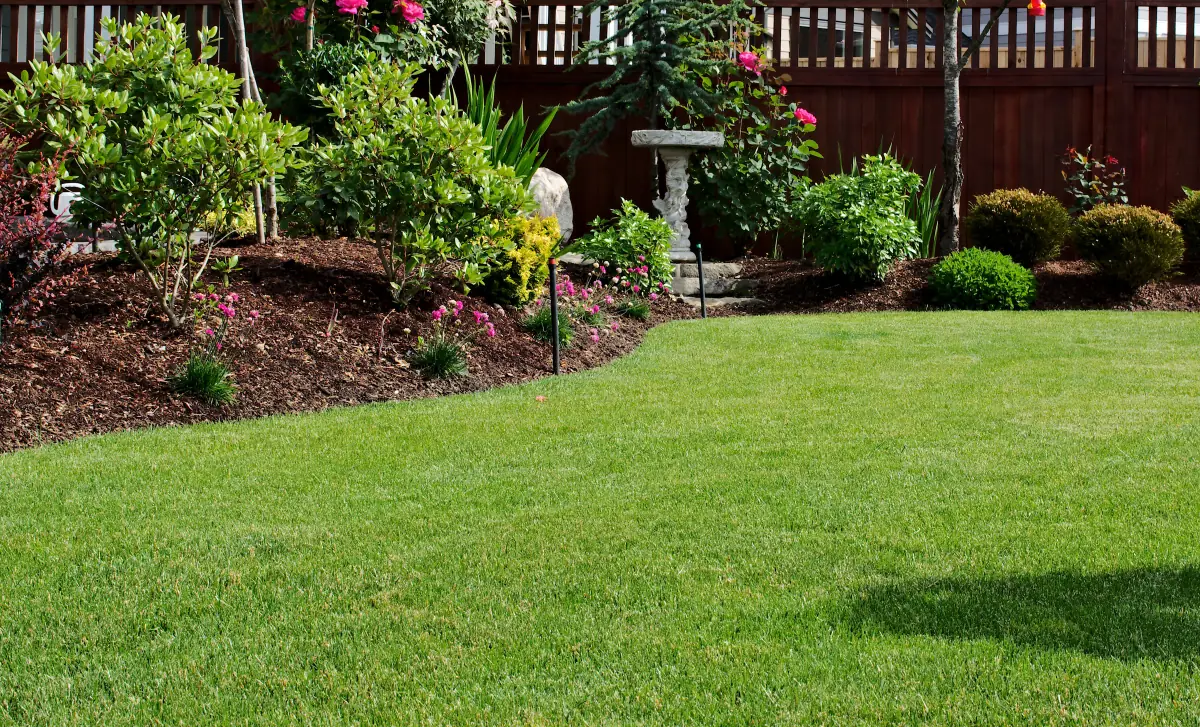 Residential backyard with mulched garden beds and a healthy green lawn