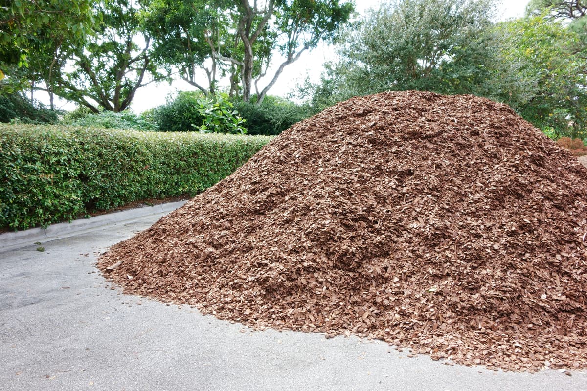 Large pile of delivered mulch on a driveway beside a hedge