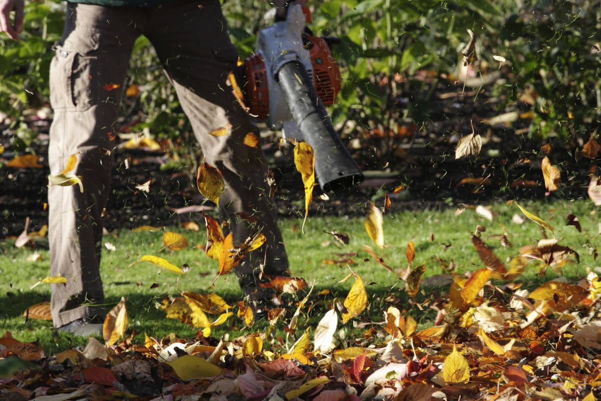Worker using a handheld leaf blower to clear autumn leaves from a lawn